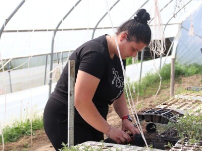 Nataša palstenici Derventa