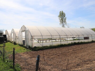 Nataša palstenici Derventa