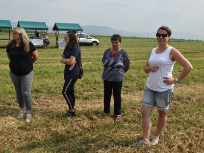 Natjecanje orača: Najbolji Nikica Marić, Miroslav Bartolović i Marija Bralić