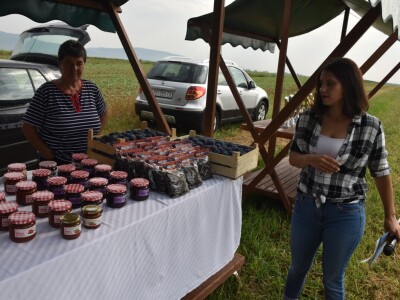 Natjecanje orača: Najbolji Nikica Marić, Miroslav Bartolović i Marija Bralić