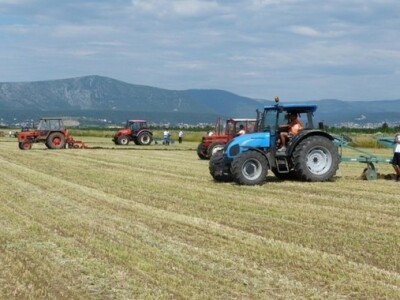 Natjecanje dalmatinskih orača u oranju u Sinjskom polju