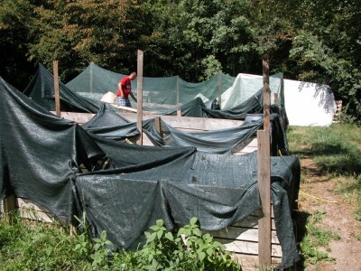 OPG Vedran Pezelj u Trilju