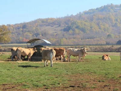 Natura Beef d.o.o.