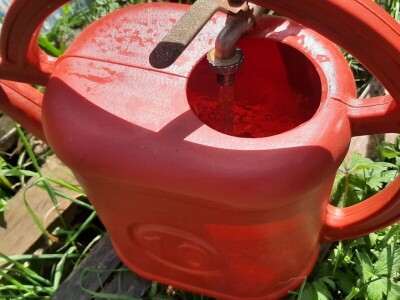 Navodnjavanje parcela postaje neophodno