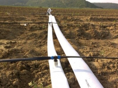 Istra – navodnjavanje 10 ha nasada rajčice na otvorenom