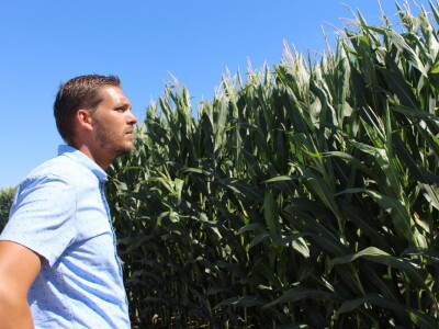 Navodnjavanje ratarskih kultura na poljima PPK Valpovo