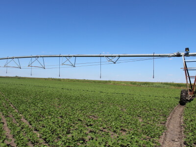 Navodnjavanje ratarskih kultura na poljima PPK Valpovo