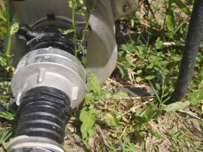 Navodnjavanje spašava malinu