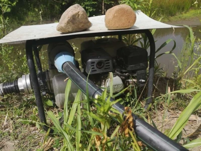 Navodnjavanje spašava malinu