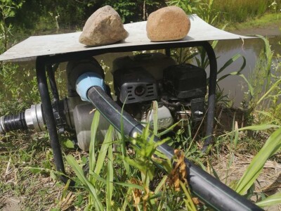 Navodnjavanje spašava malinu