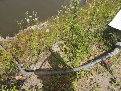 Navodnjavanje spašava malinu