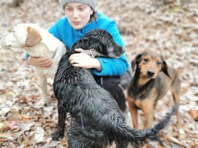 Ne kupuj, udomi! Ne kupuj, udomi!