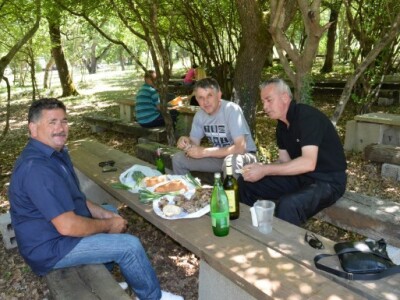 Ne može fešta proći bez domaće janjetine