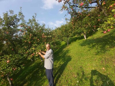 Ne prodaje jabuku prve klase, jer je ne pršće i nema prostor za skladištenje