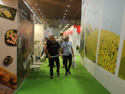 Nedelja na 91. Međunarodnom poljoprivrednom sajmu u Novom Sadu