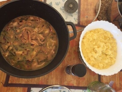 Nedo Pinezić, promišljanja o turizmu