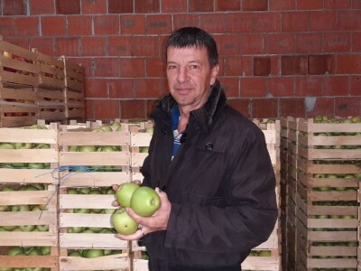 Nekada omiljena sorta među jabukama a sada za nju nema tržišta, foto: M. Lazarević
