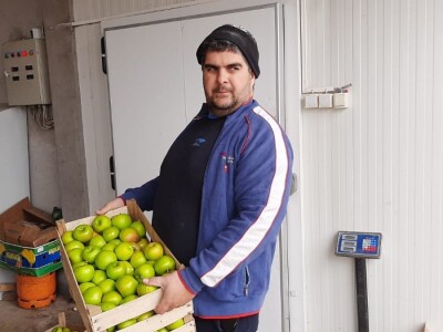 Nekada omiljena sorta među jabukama a sada za nju nema tržišta, foto: M. Lazarević