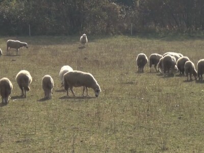 Nema njiva prve i druge klase
