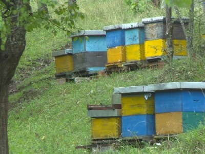 Nema podsticaja za poljoprivrednike