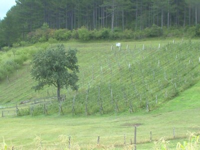 Nema podsticaja za poljoprivrednike