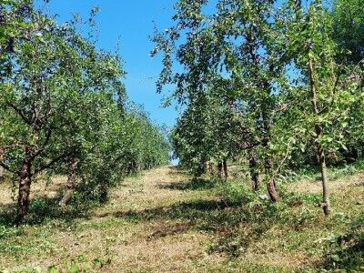 Nema proizvodnje bez navodnjavanja Nema proizvodnje bez navodnjavanja
