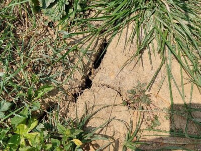 Nema proizvodnje bez navodnjavanja Nema proizvodnje bez navodnjavanja