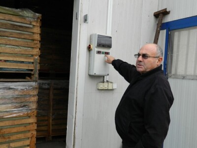 Nema radnika za berbu šargarepe Nema radnika za berbu šargarepe