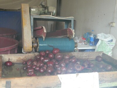 Nema radnika za berbu šargarepe Nema radnika za berbu šargarepe