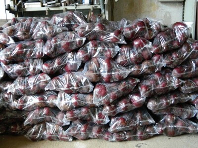 Nema radnika za berbu šargarepe Nema radnika za berbu šargarepe