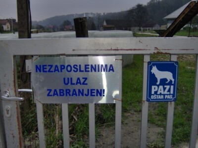 Nema više ni krava, ni zaposlenika, ni psa Nema više ni krava, ni zaposlenika, ni psa
