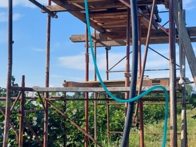 Nemanja Bajić, uzgajivač lješnika Nemanja Bajić, uzgajivač lješnika