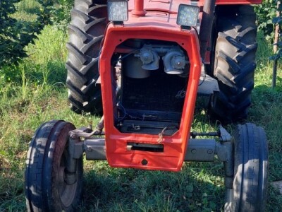 Nemanja Bajić, uzgajivač lješnika Nemanja Bajić, uzgajivač lješnika