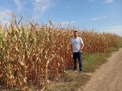 Nemanja Ivković, proizvodnja kukuruza