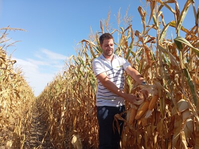 Nemanja Ivković, proizvodnja kukuruza