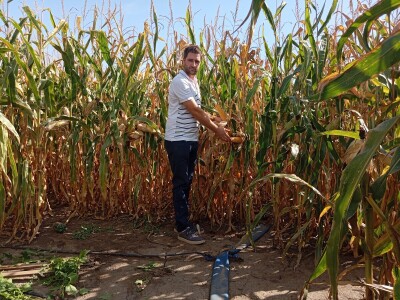 Nemanja Ivković, proizvodnja kukuruza