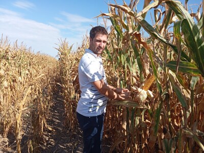 Nemanja Ivković, proizvodnja kukuruza