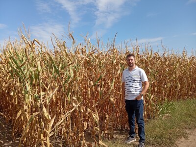 Nemanja Ivković, proizvodnja kukuruza