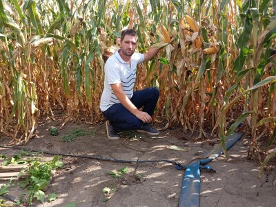 Nemanja Ivković, proizvodnja kukuruza