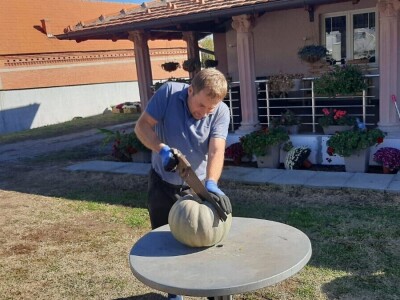 Nenad je šampion u uzgajanju bundeva