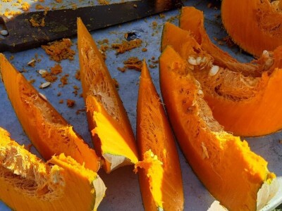 Nenad je šampion u uzgajanju bundeva, foto: M. Lazarević