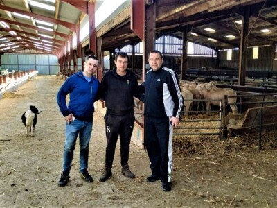 Nenad Kuzmanović i Saša Horvat