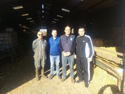 Nenad Kuzmanović i Saša Horvat