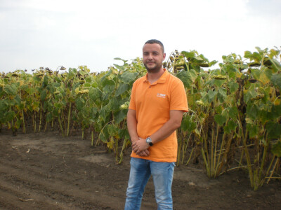 Nenad Stajković, AD &quot;Banatski Despotovac&quot;