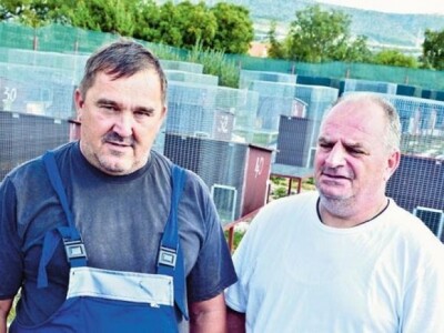 Neno Božić i Branko Škugor, uzgajatelji divljih zečeva u šibenskoj Dubravi Neno Božić i Branko Škugor, uzgajatelji divljih zečeva u šibenskoj Dubravi