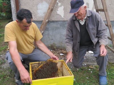 Neobičan pčelinji dom