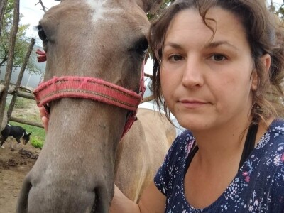 Neobični kućni ljubimci