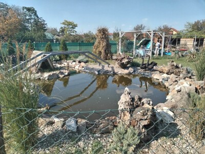 Neobični kućni ljubimci