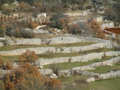 Neobrađene vrtače u dalmatinskom kršu Neobrađene vrtače u dalmatinskom kršu