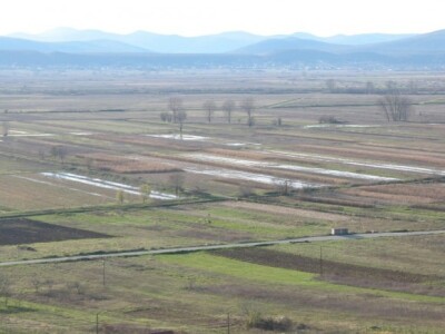 detalj Sinjskog polja